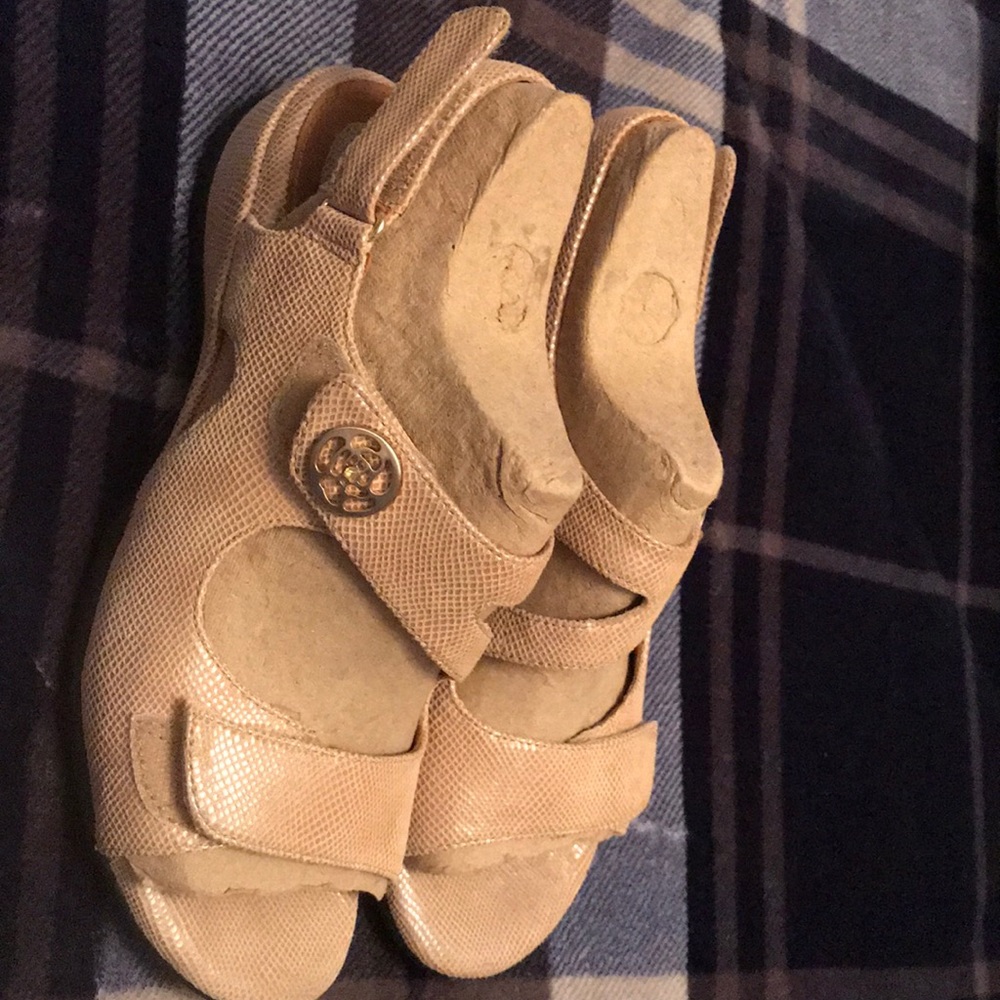 Shoe